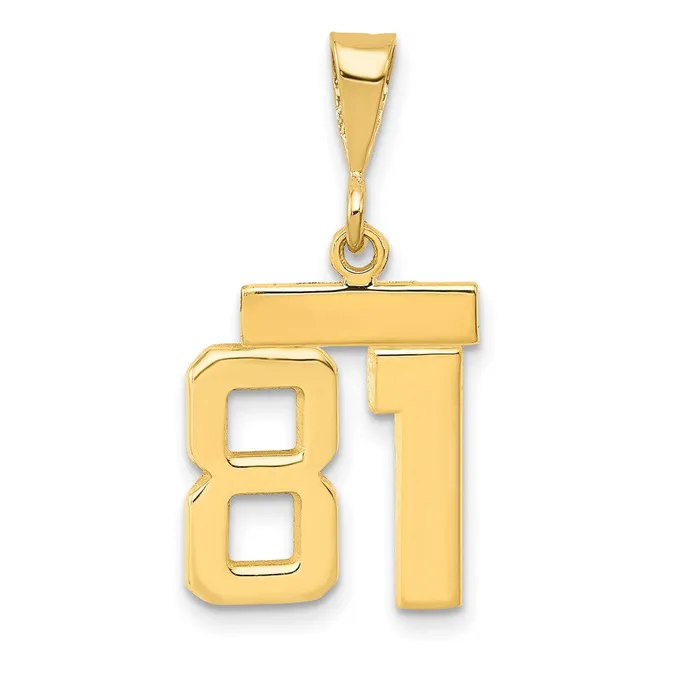 Goldia 14k Yellow Gold Small Polished Number 81 Charm Charm Necklaces